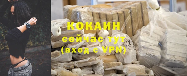 эйфоретик Майский