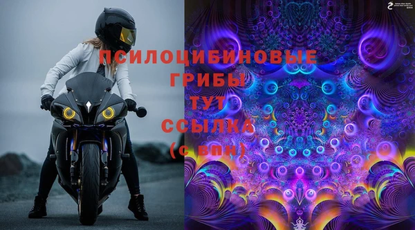 дурь Магадан