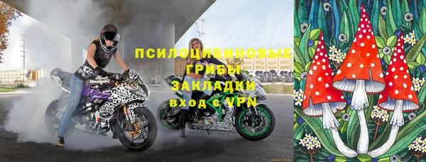 эйфоретик Майский