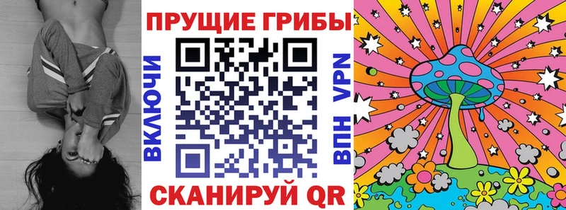 Галлюциногенные грибы прущие грибы  Грайворон 