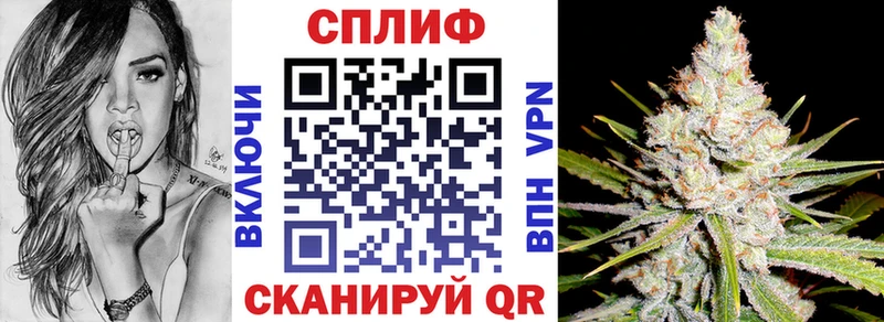 Канабис гибрид  Грайворон 
